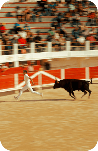 Course-Camarguaise 1